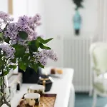 Bed and breakfast Le Passagran Boen-sur-Lignon
